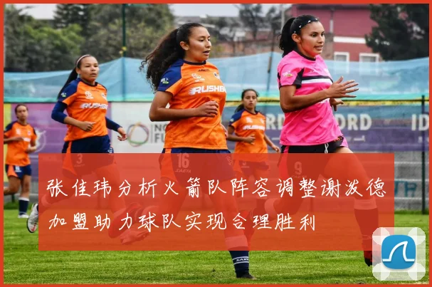 张佳玮分析火箭队阵容调整谢泼德加盟助力球队实现合理胜利
