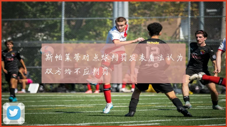 斯帕莱蒂对点球判罚发表看法认为双方均不应判罚