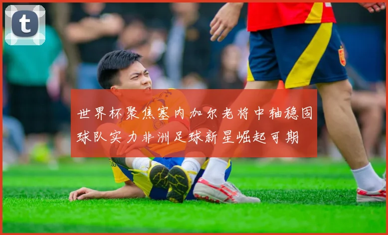世界杯聚焦塞内加尔老将中轴稳固球队实力非洲足球新星崛起可期