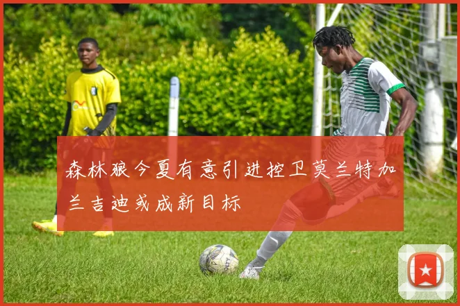 森林狼今夏有意引进控卫莫兰特加兰吉迪或成新目标